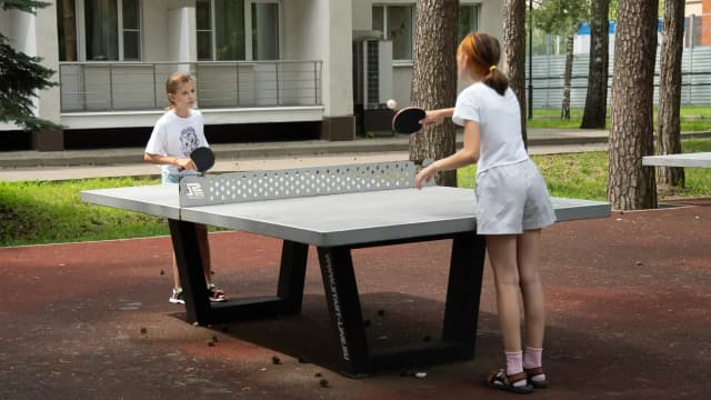 Настольный теннис