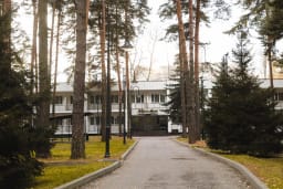 Лагерь английского в Ёлочках